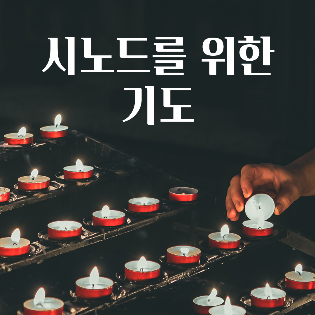 시노드 기도 시노드 기도문 시노드를 위한 기도