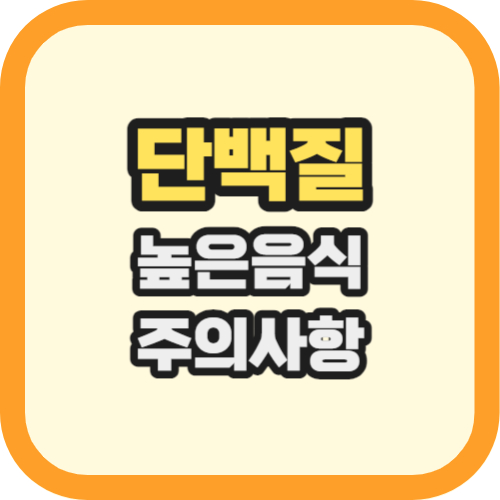 단백질 높은 음식