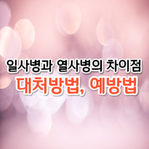 일사병과 열사병의 차이점 대처방법, 예방법