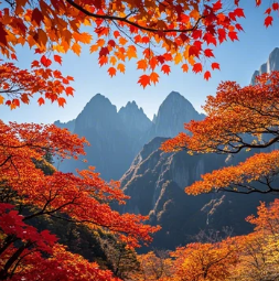 설악산단풍1