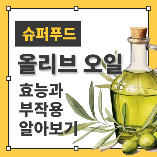 올리브오일효능과부장용