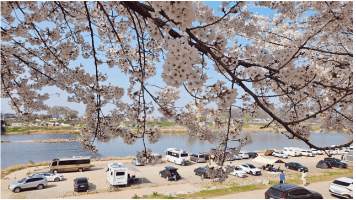 단월 강수욕장 캠핑장