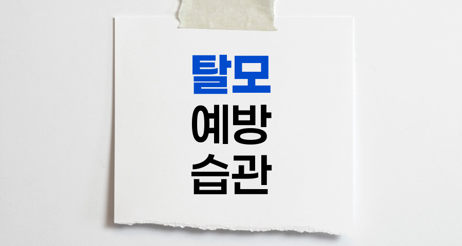 탈모 예방을 위한 일상 습관 개선법