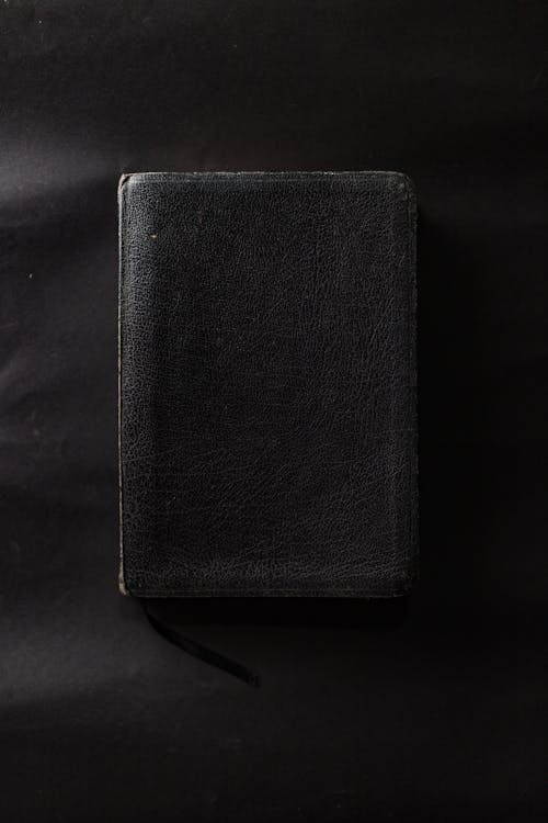 돼지가죽 – 가성비는 뛰어나지만 외형의 한계