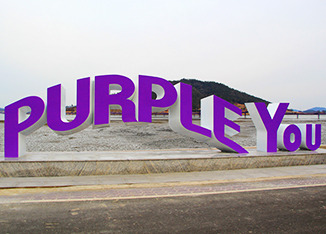 신안 퍼플섬 풍경사진