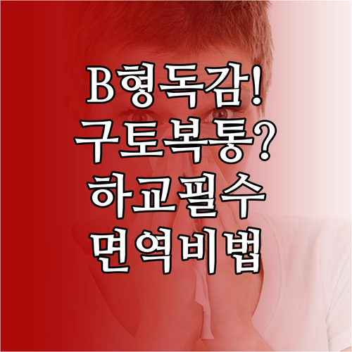 B형 독감 소화기 증상 확인법과 하교..