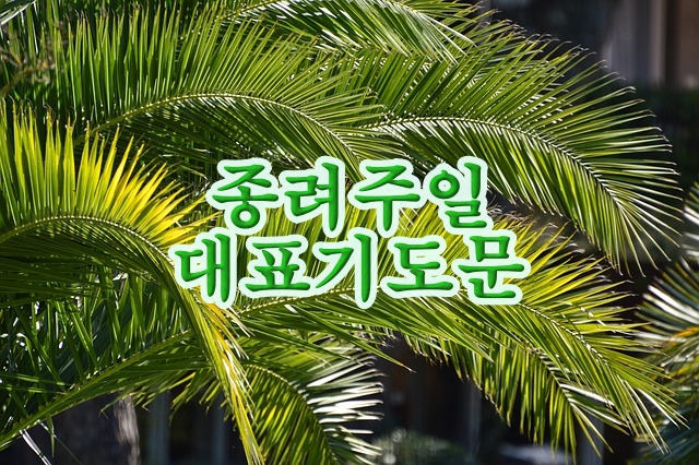 종려주일 대표 기도문