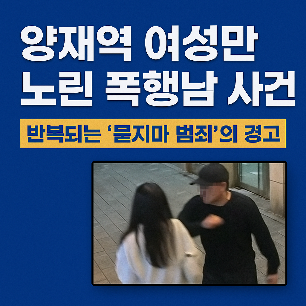 양재역 폭행남