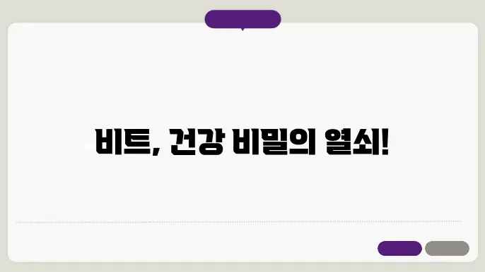 비트 효능 및 부작용, 올바른 섭취법 정보 총정리!