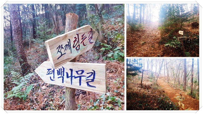 순천 한옥 펜션