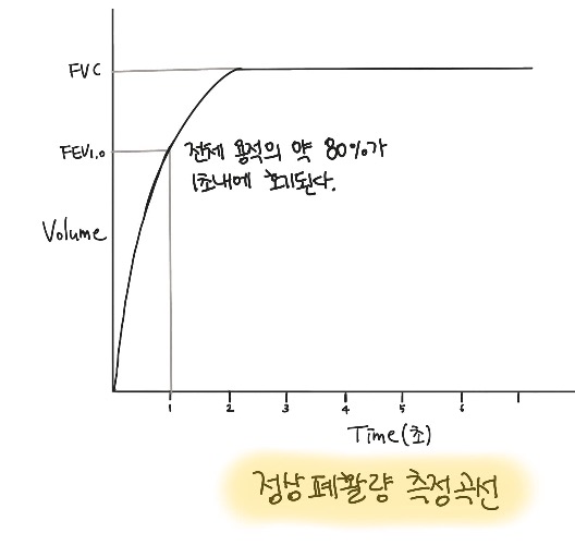 정상 폐활량 측정곡선