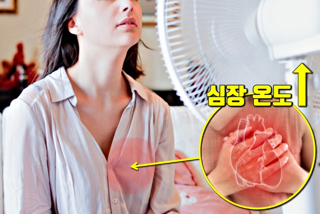 폭염,심장 돌연사,건강 팁줌 매일꿀정보