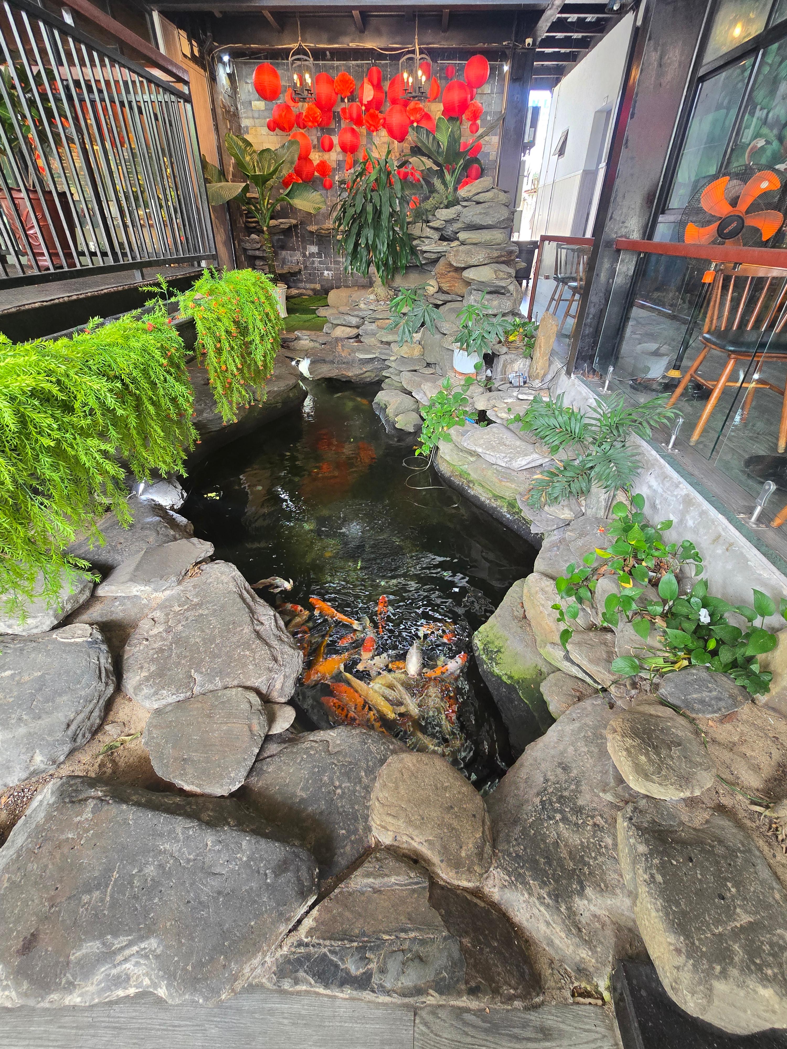 다낭 땀끼 시내 카페의 실내 연못과 붉은 등불 장식