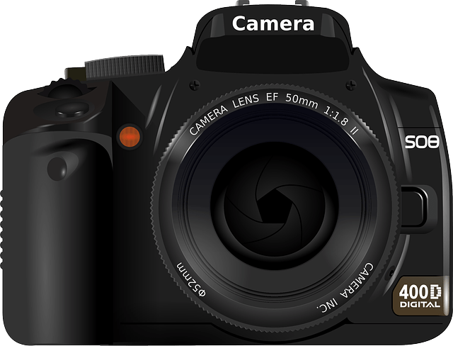 MZ 세대 뜻 나이 사진