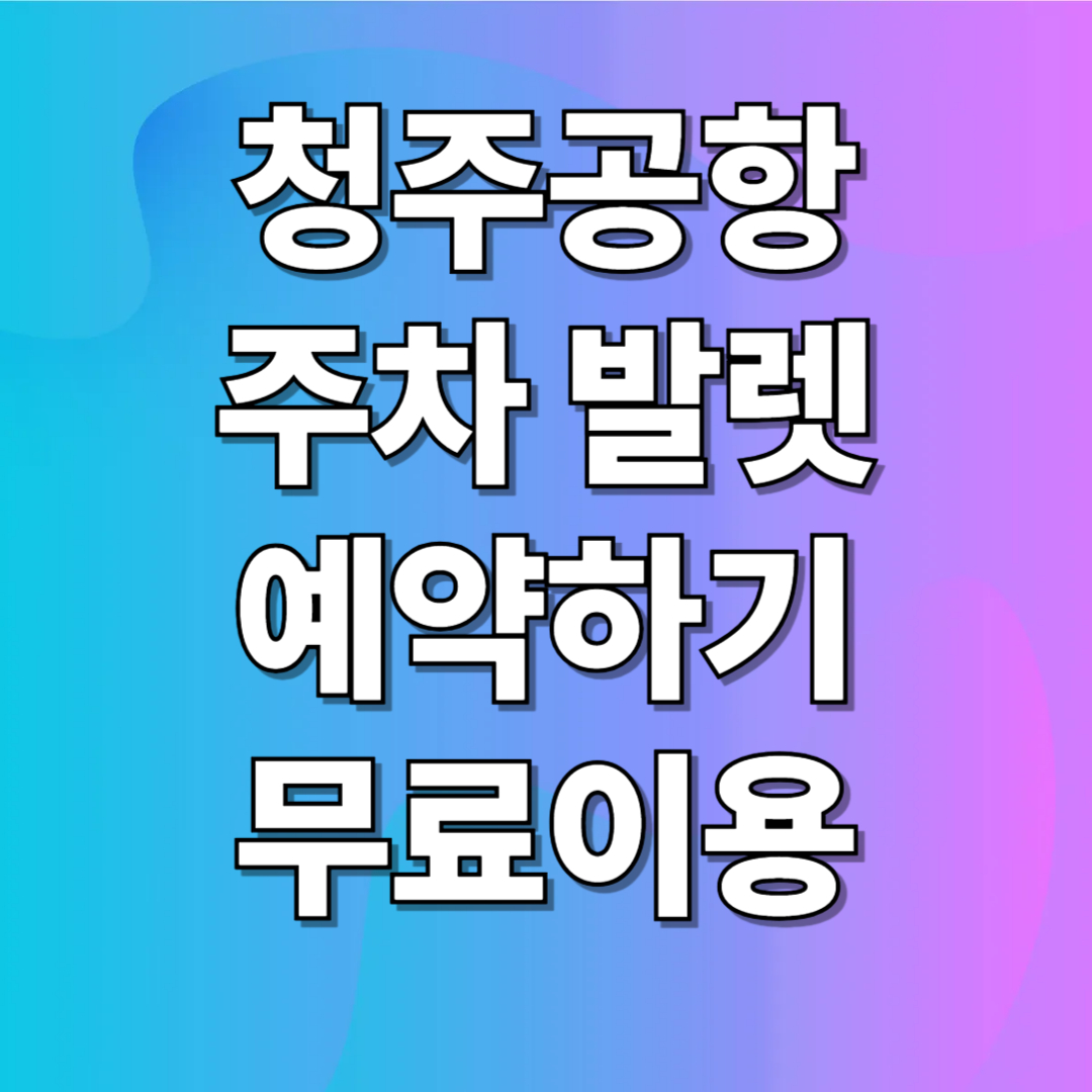 청주공항 발렛