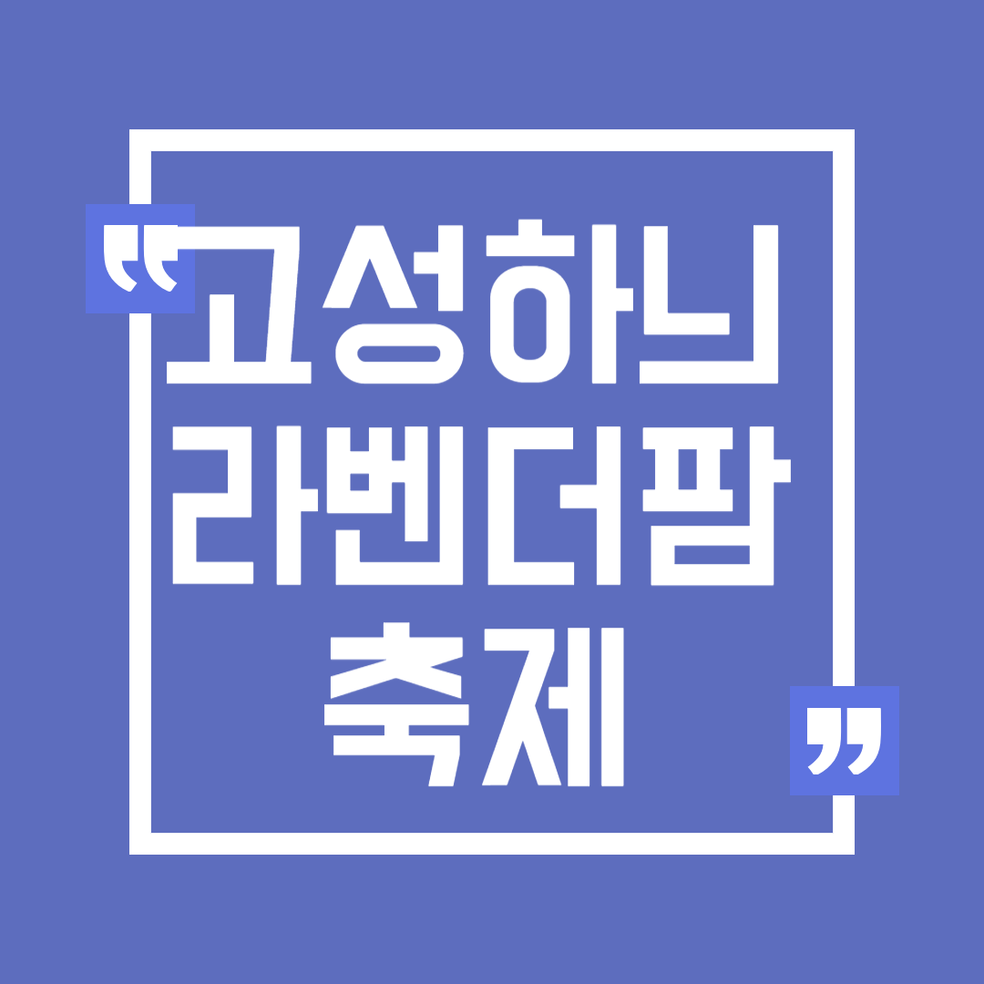 2024 고성 하늬라벤더팜 라벤더 농장 축제 입장료 개화 주차장