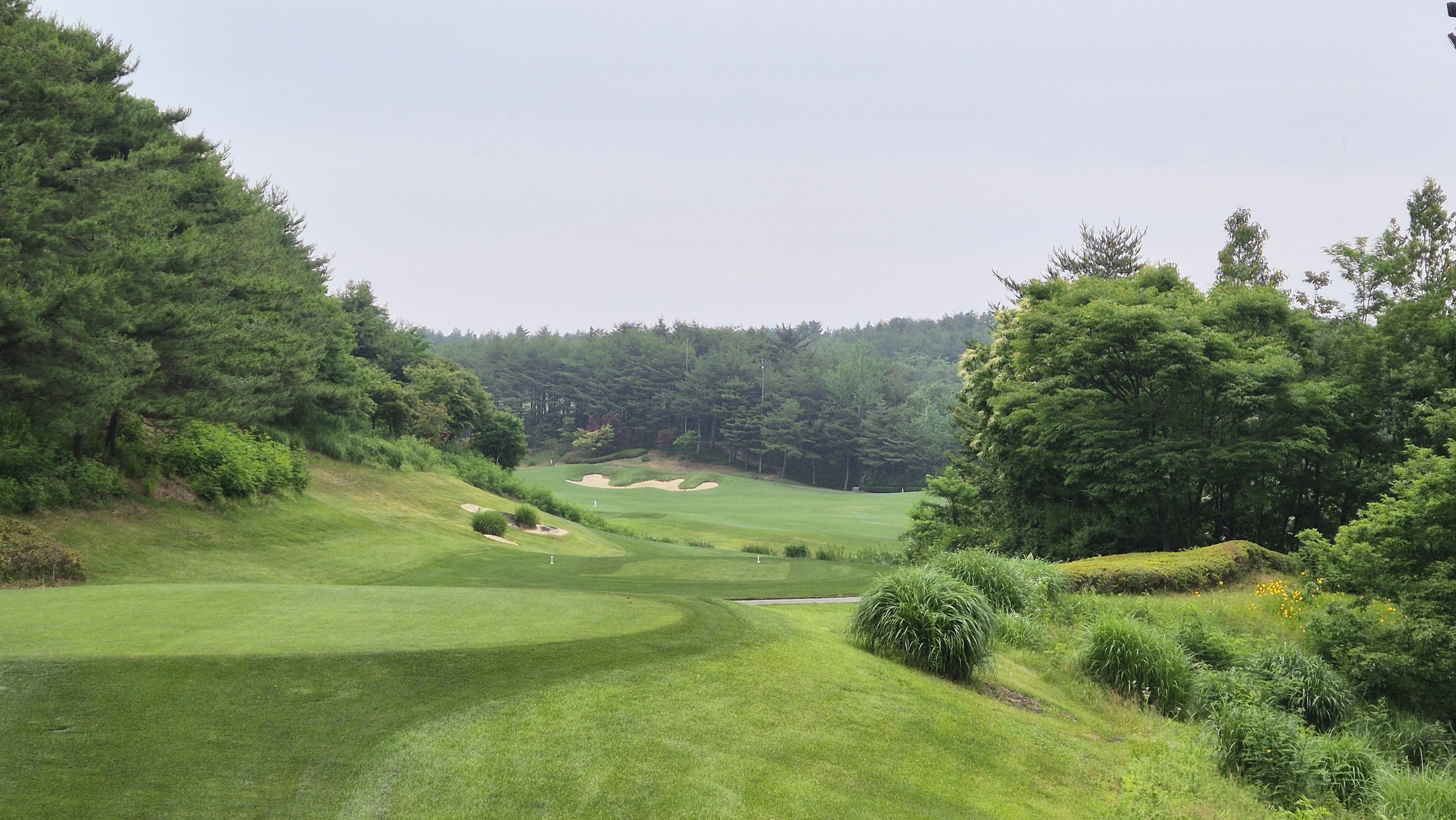 파인리즈cc 후기 및 코스사진