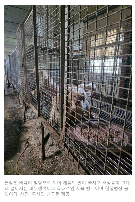 번식장 실태