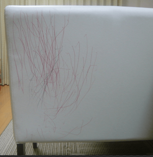 염색약, 핏자국, 커피 얼룩, 볼펜 자국 지우는 법(방법)