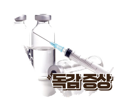 독감증상