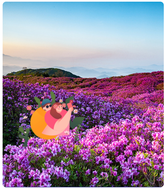 황매산 철쭉제