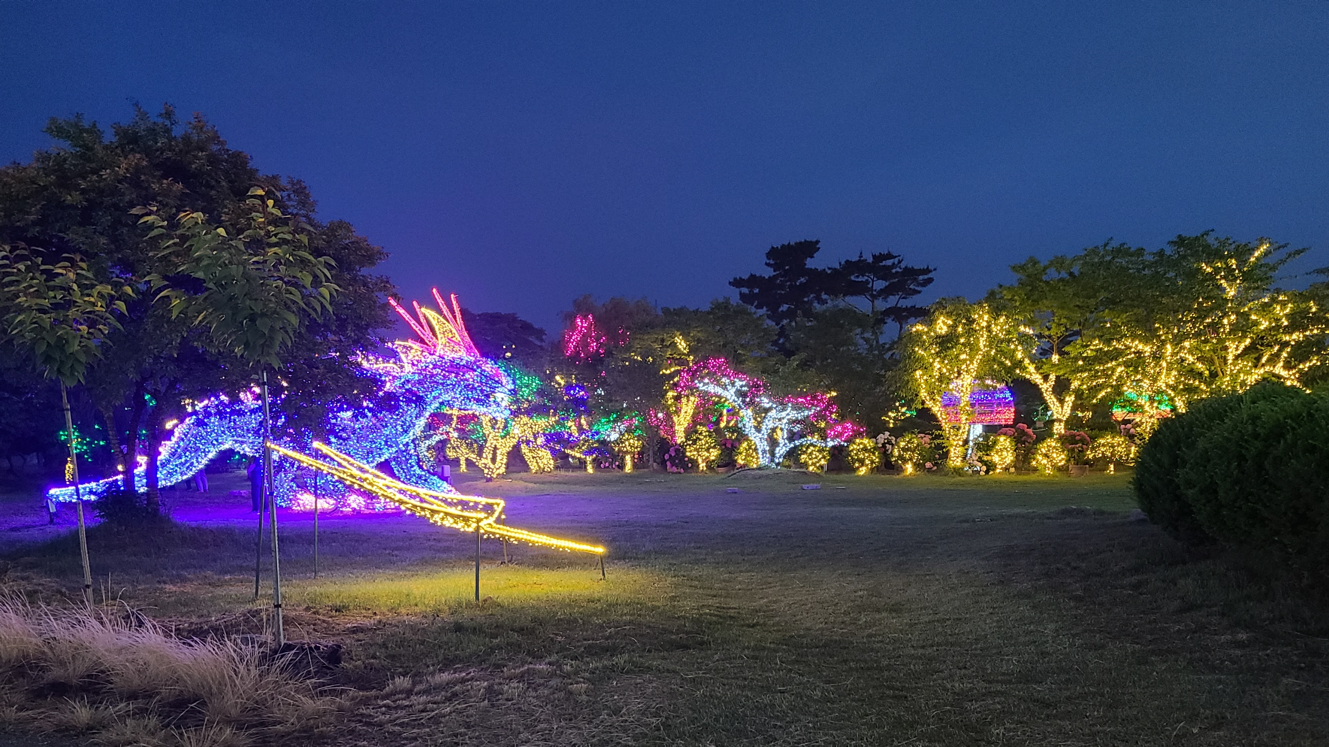 태안빛축제할인방법 태안별빛축제 태안불빛축제 태안애견동반 태안꽃축제 튤립축제 꽃박람회 태안할인