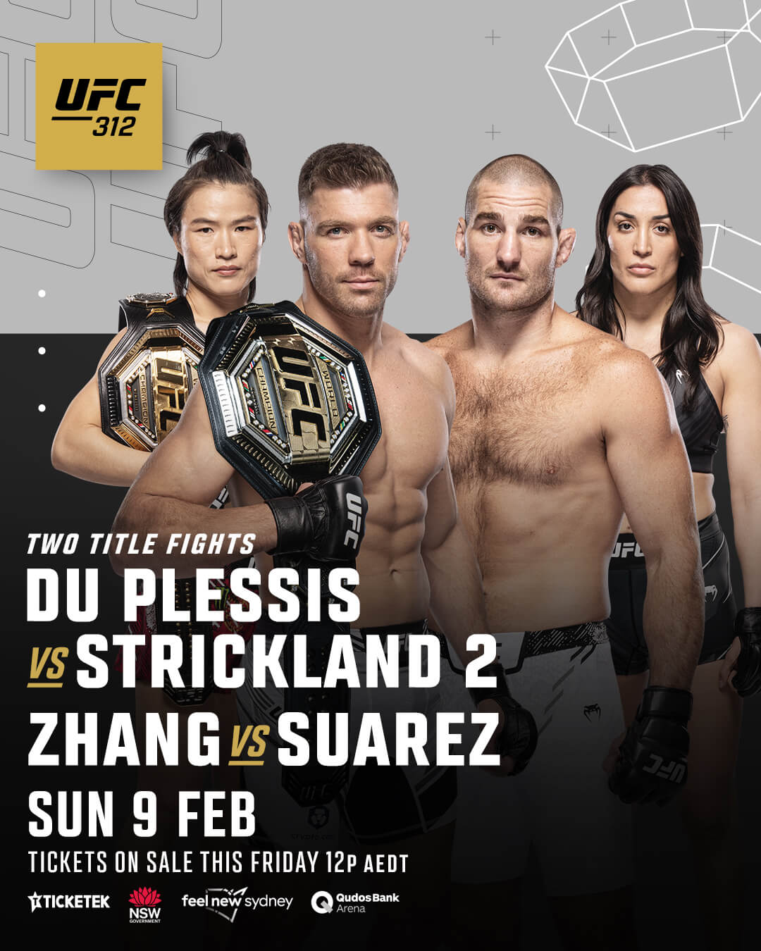 UFC 312 - 두 플레시스 vs 스트릭랜드