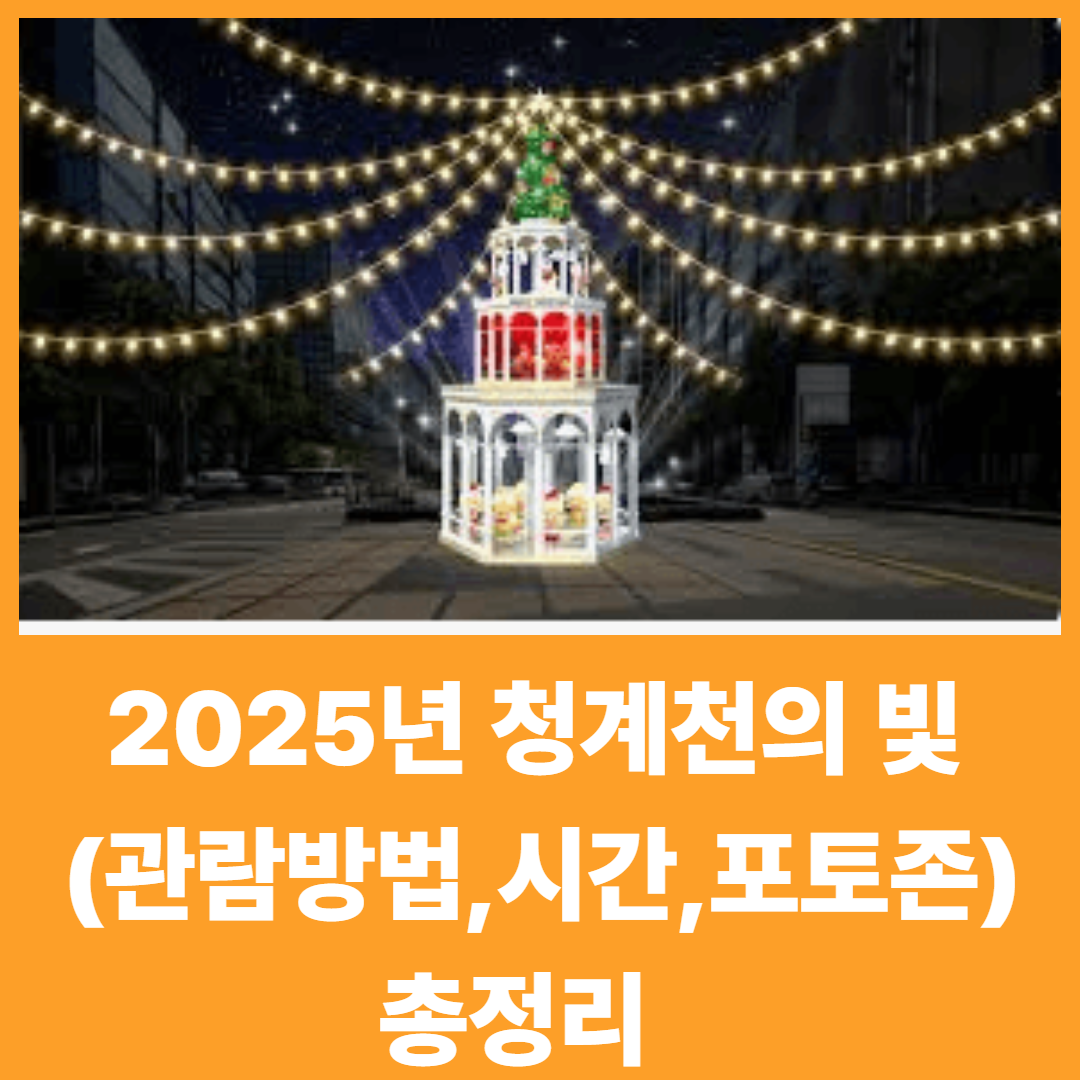 2025년 청계천의 빛 축제