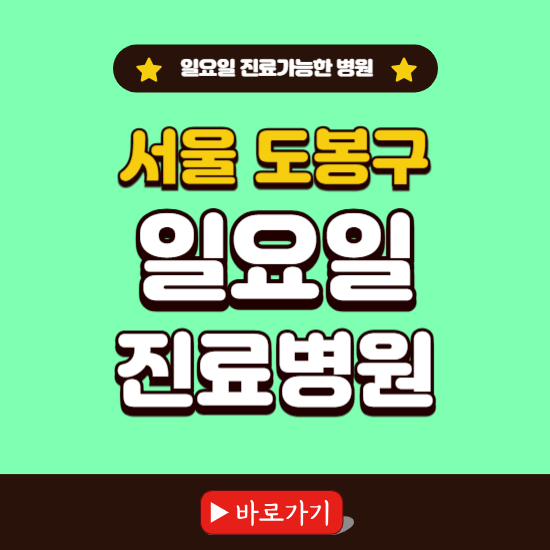 서울 도봉구 일요일 진료 가능한 병원 ❘ 주말 문여는 곳 총정리 (소아과, 내과, 안과, 치과, 피부과, 정형외과, 산부인과)