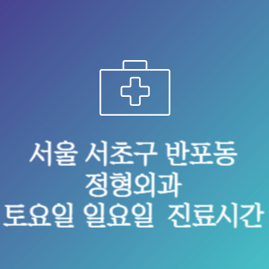 서울 서초구 반포동 주말 토요일 일요일 문여는 병원 진료시간