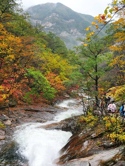 설악산 단풍시기