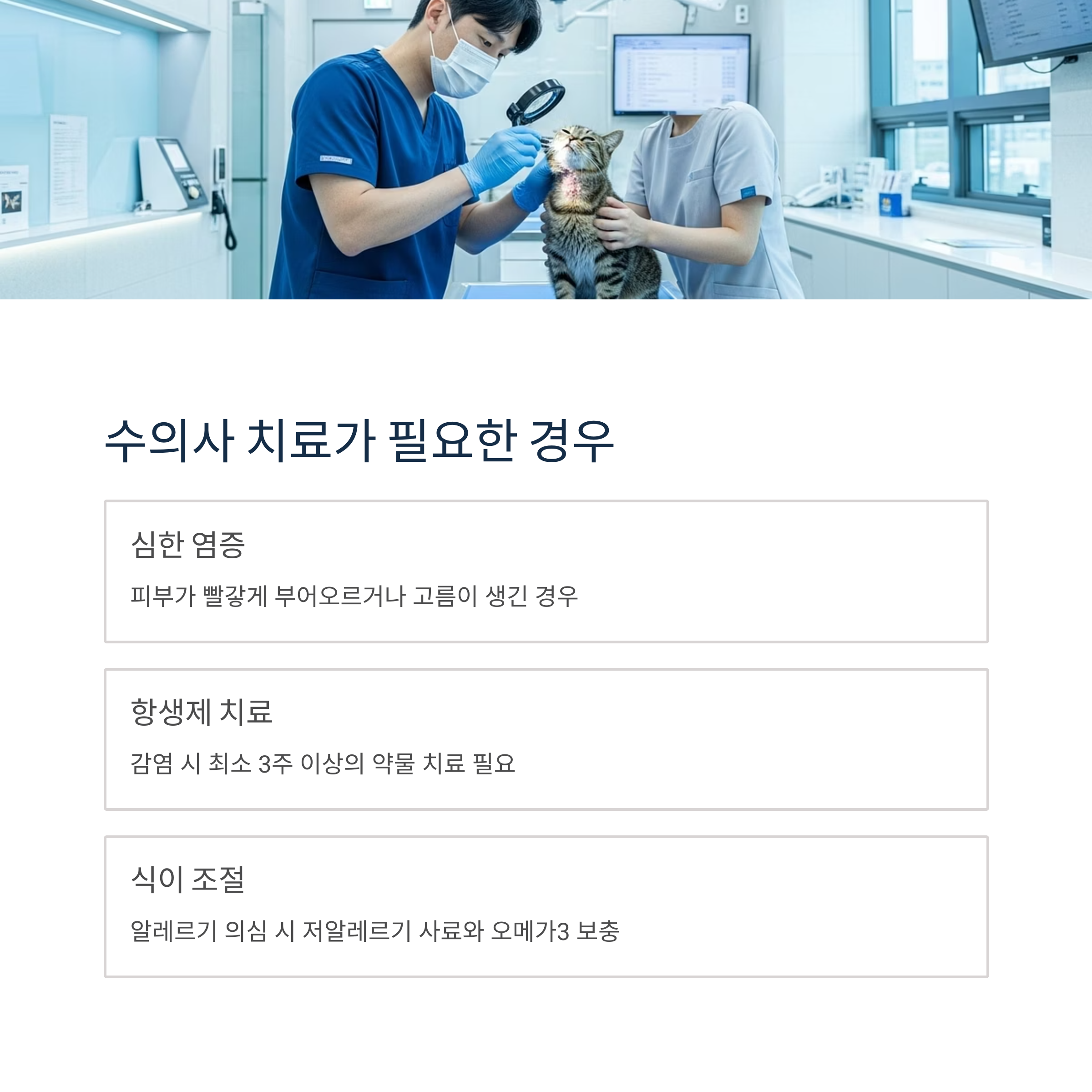 수의사 치료가 필요한 경우