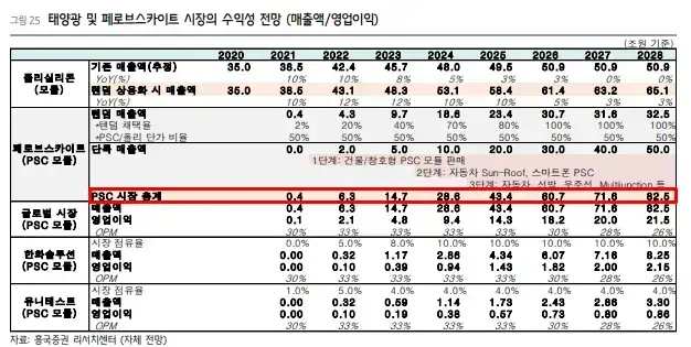 2025 매출액 규모 예상치
