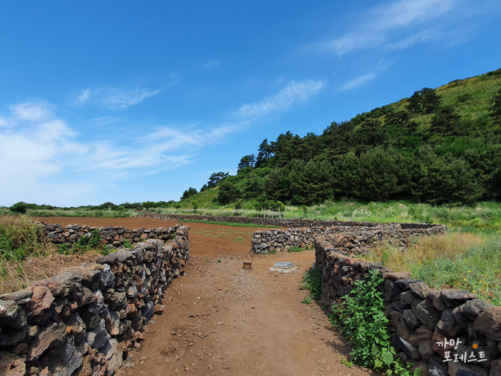 비양봉 돌담길