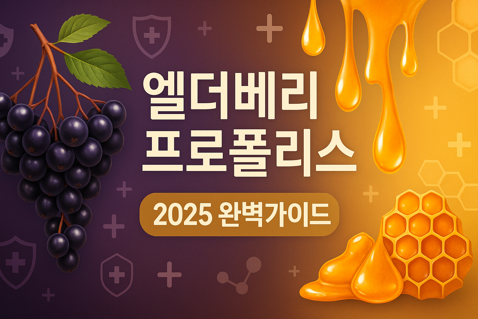 엘더베리 프로폴리스 완벽 가이드 - 면역력 최강 조합의 모든 것(2025)