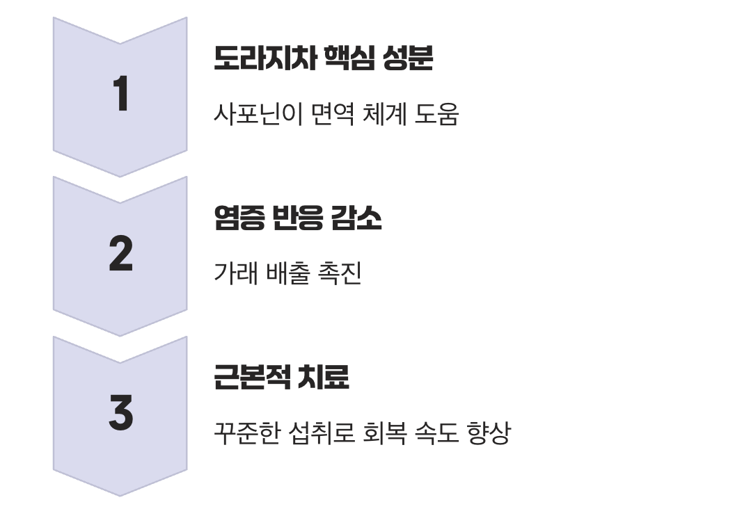 염증의 뿌리를 다스리는, 도라지차