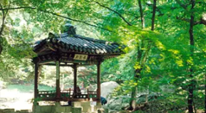 창덕궁 후원