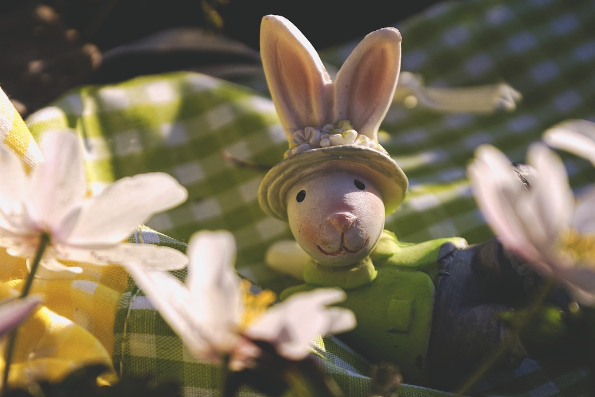 23년 토끼띠운세