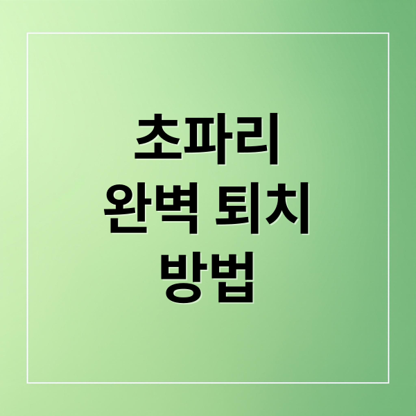 초파리 완벽 퇴치 쾌적한 우리 집 만들기!