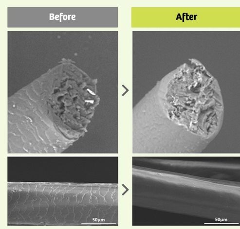 그래비티 샴푸 카이스트 그래비티 샴푸