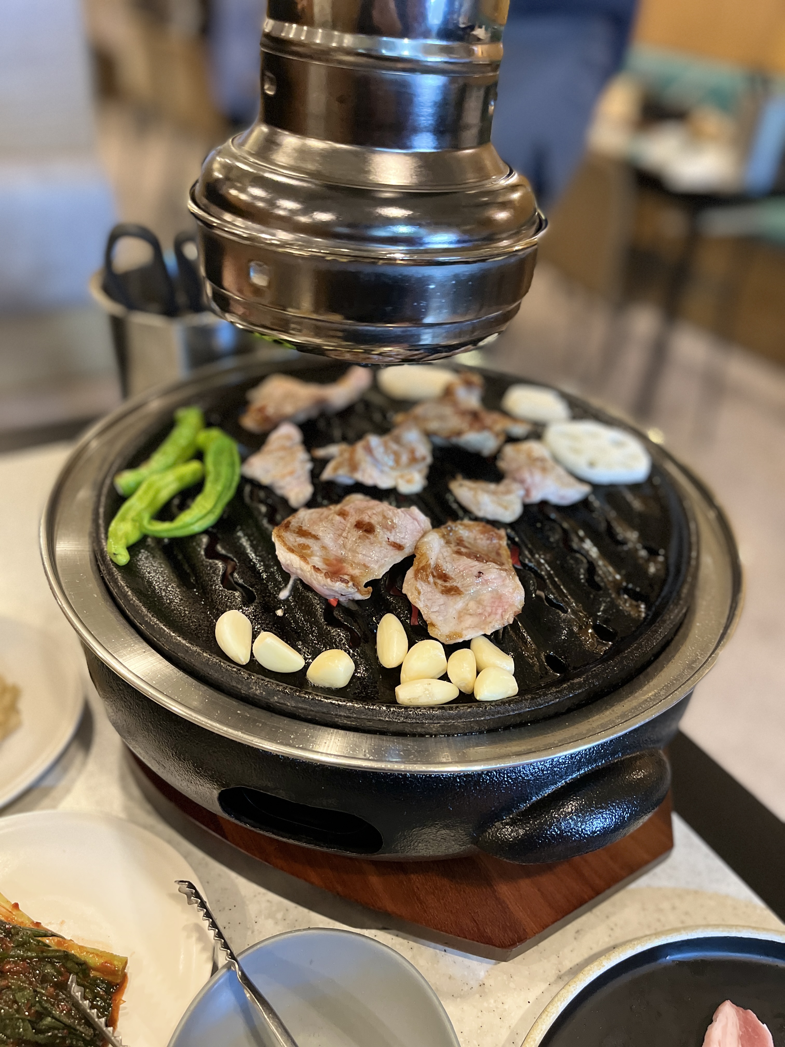 가브리살구이1