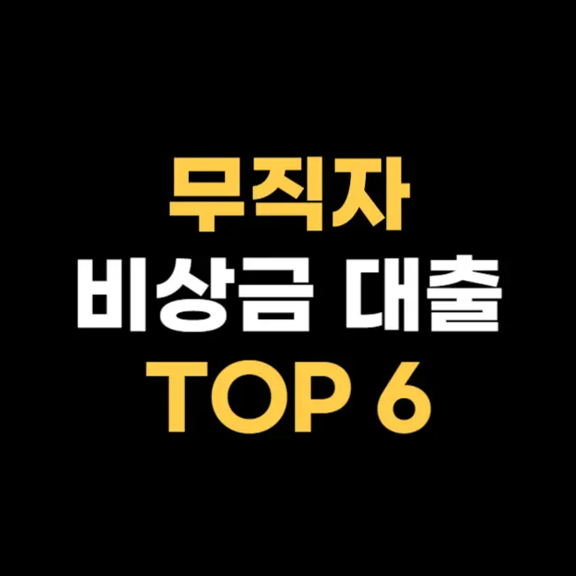 비상금-대출