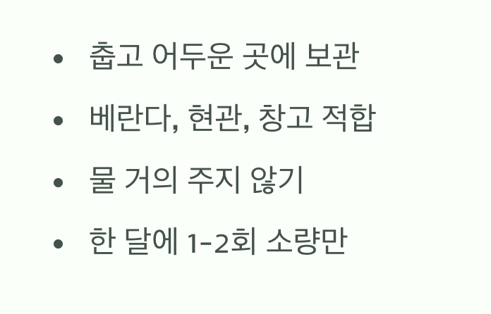 겨울&amp;#44; &amp;#39;잊어버리는&amp;#39; 것이 약