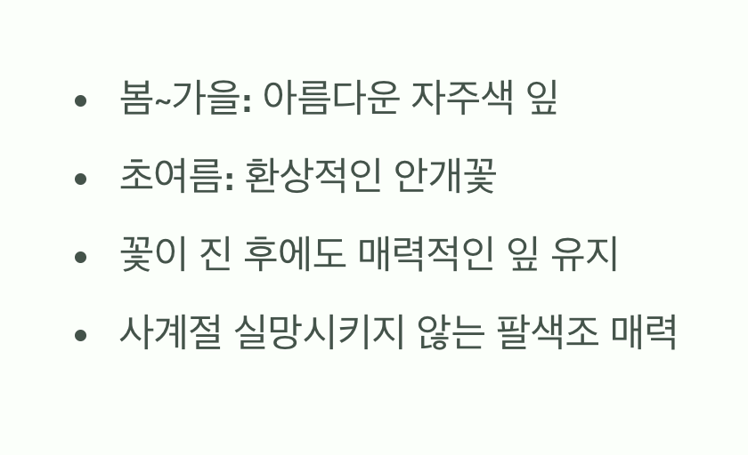 잎과 꽃, 두 마리 토끼를 잡다