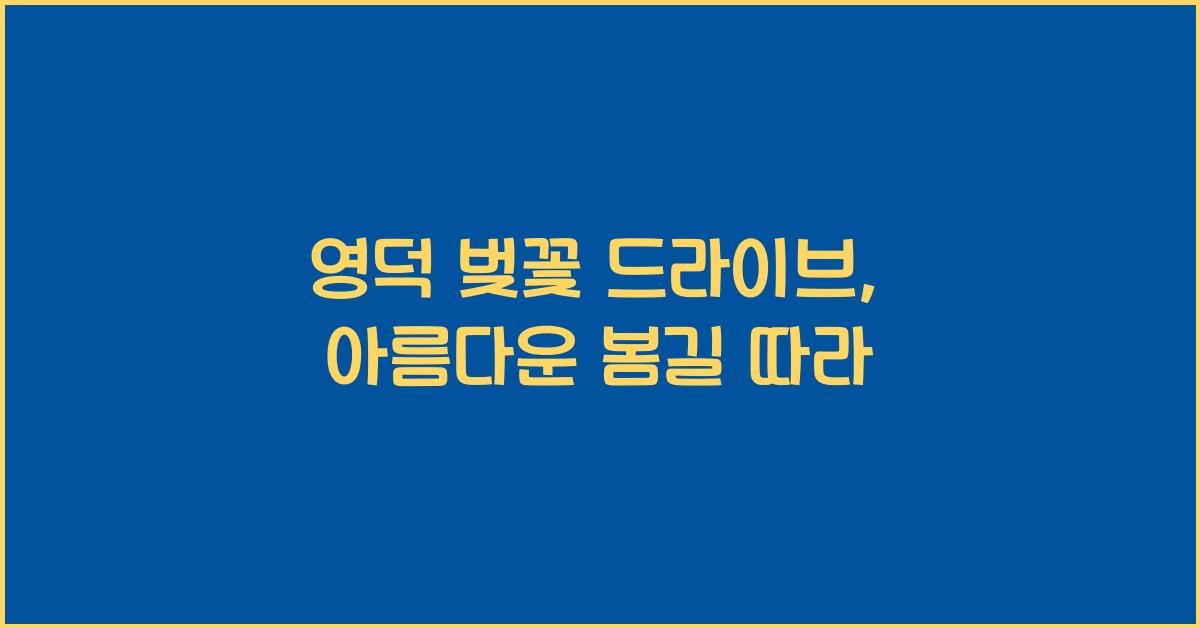 영덕 벚꽃 드라이브