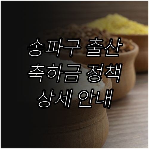 2025년 송파구 출산 가정 필독 출..