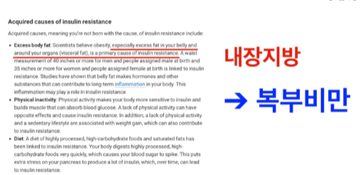인슐린저항성 근본원인