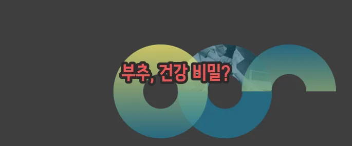 부추 효능 부작용 섭취방법 알아볼게요