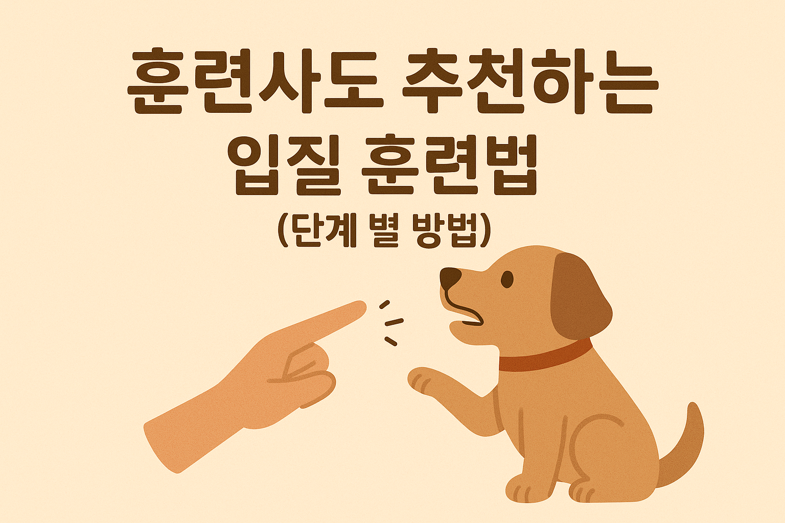 입질 훈련법 이미지