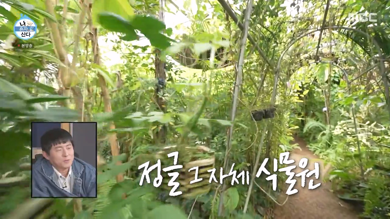 조인폴리아 근처 맛집